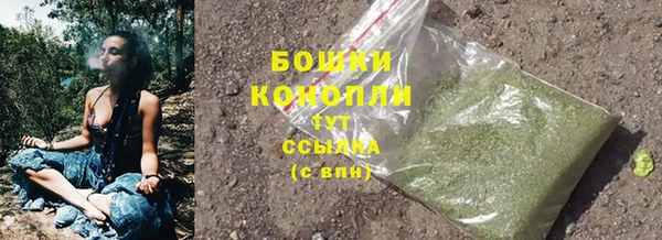 прущий лед Абаза
